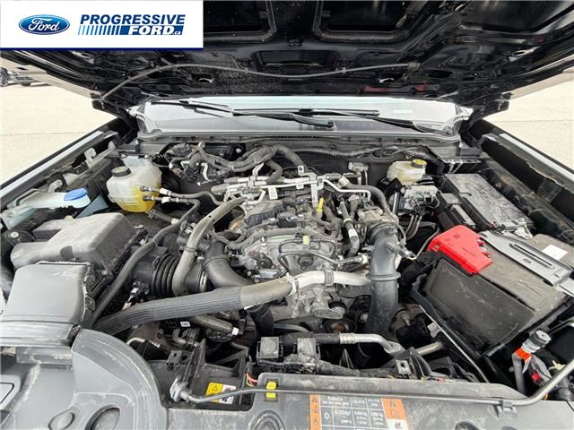 2025 Ford Ranger XLT (Stk: SLE31295T) in Wallaceburg - Image 25 of 25