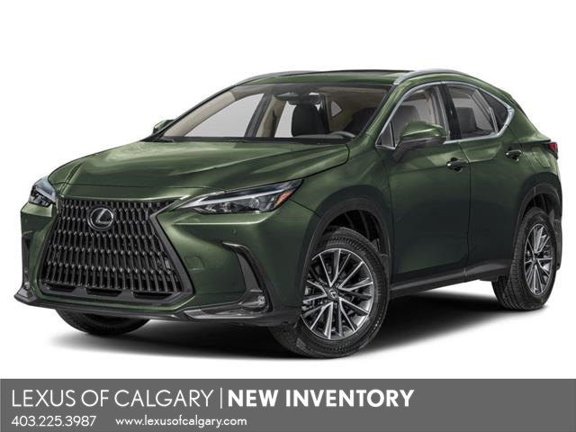NX 350