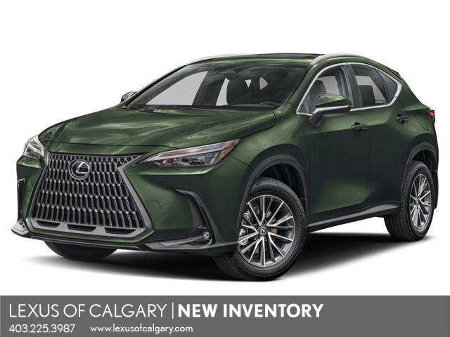 NX 350h