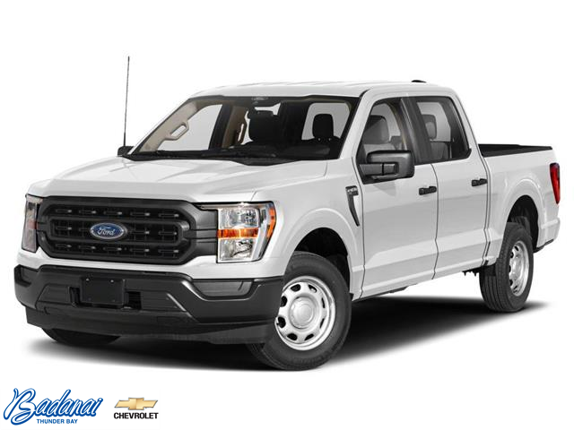 2021 Ford F-150 XLT (Stk: S396A) in Thunder Bay - Image 1 of 12