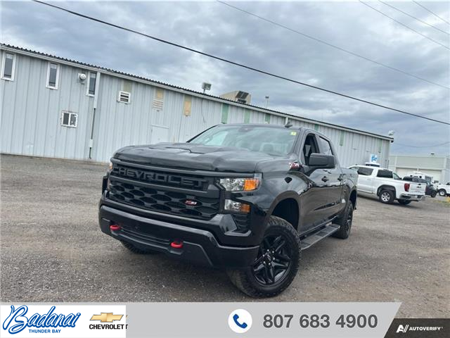 2023 Chevrolet Silverado 1500 Custom Trail Boss (Stk: 9218) in Thunder Bay - Image 1 of 19