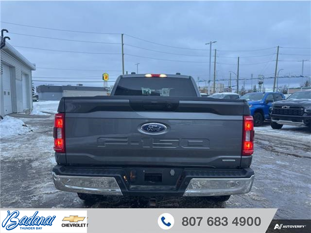 2023 Ford F-150 XLT (Stk: 9262R) in Thunder Bay - Image 4 of 20