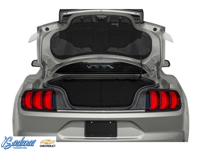 2020 Ford Mustang  (Stk: T527A) in Thunder Bay - Image 8 of 12