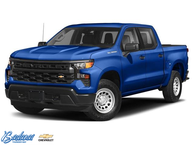 2023 Chevrolet Silverado 1500 RST (Stk: P134) in Thunder Bay - Image 1 of 11