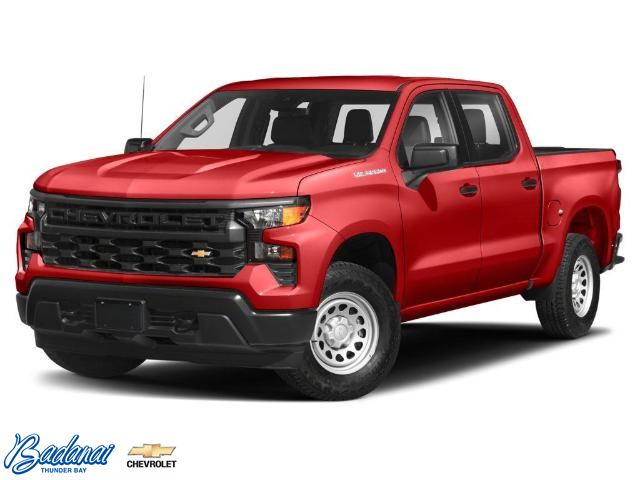 2024 Chevrolet Silverado 1500 RST (Stk: R202) in Thunder Bay - Image 1 of 11