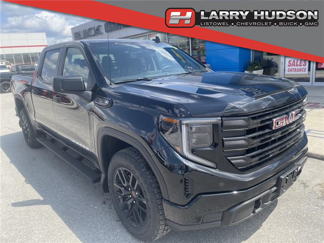 2023 GMC Sierra 1500 Pro (Stk: 23-675) in Listowel - Image 1 of 19