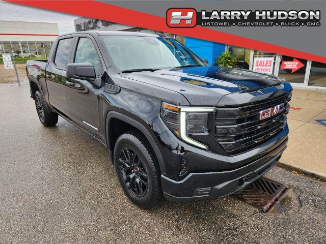 2024 GMC Sierra 1500 Pro (Stk: 24-313) in Listowel - Image 1 of 28