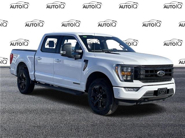 2023 Ford F-150 XLT (Stk: FE709) in Waterloo - Image 1 of 22