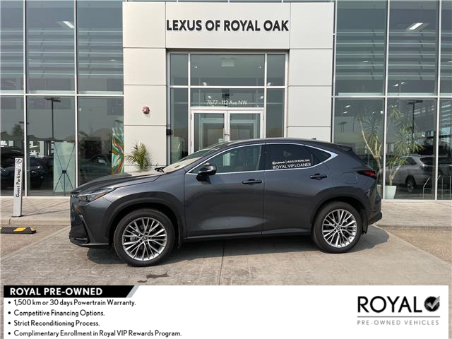 2025 Lexus NX 350  - 11,250km