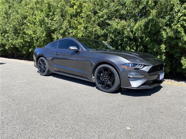 2019 Ford Mustang EcoBoost (Stk: N22138A) in WALLACEBURG - Image 1 of 24
