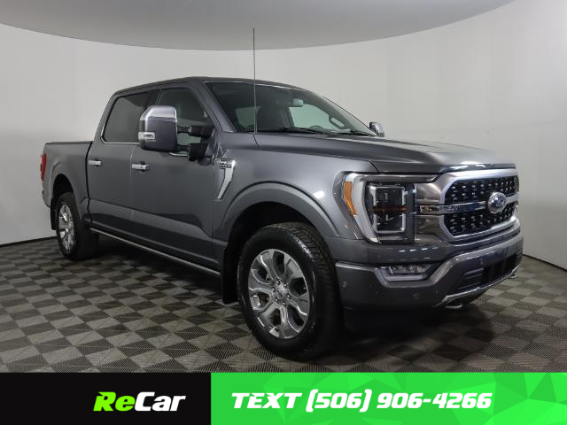 2021 Ford F-150 Platinum (Stk: 231648CA) in Woodstock - Image 1 of 25