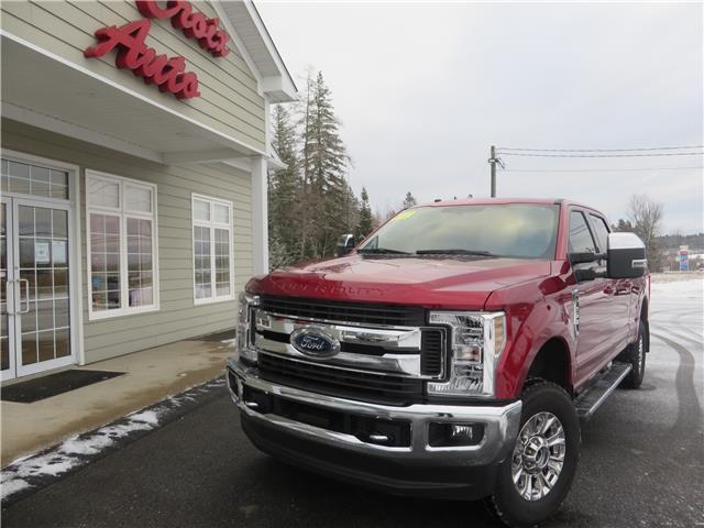 2019 Ford F-250 XLT (Stk: 212855C) in St. Stephen - Image 1 of 12