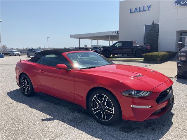 2019 Ford Mustang EcoBoost Premium (Stk: S11049) in Leamington - Image 1 of 27
