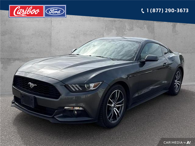 2015 Ford Mustang EcoBoost (Stk: 2015A) in Quesnel - Image 1 of 21