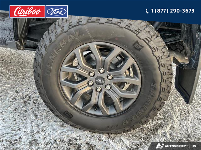 2025 Ford F-150 Tremor (Stk: 25T074) in Quesnel - Image 6 of 25