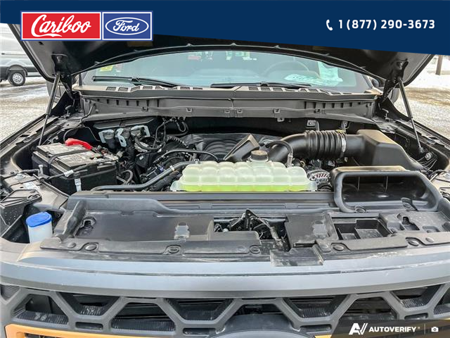 2025 Ford F-150 Tremor (Stk: 25T074) in Quesnel - Image 10 of 25