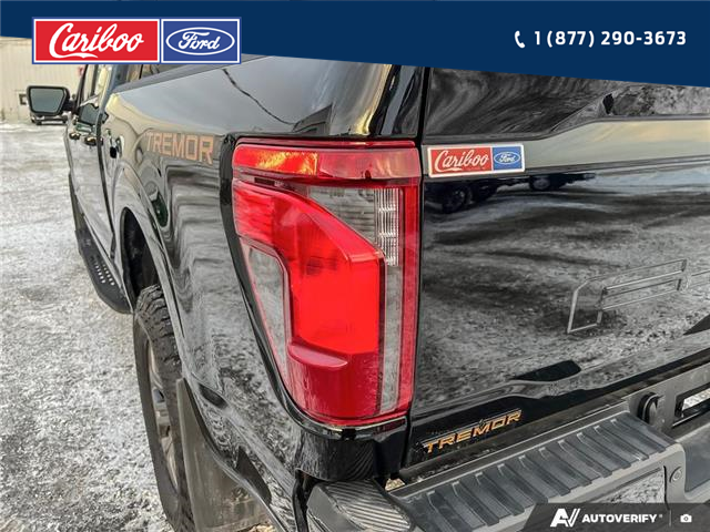 2025 Ford F-150 Tremor (Stk: 25T074) in Quesnel - Image 11 of 25