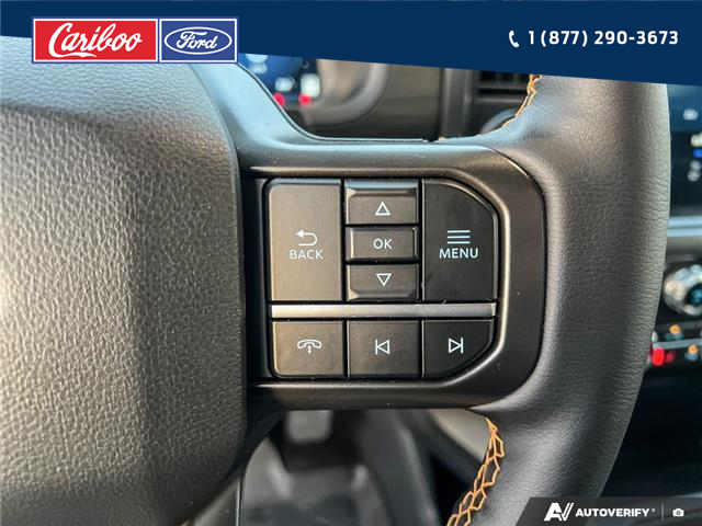 2025 Ford F-150 Tremor (Stk: 25T074) in Quesnel - Image 16 of 25