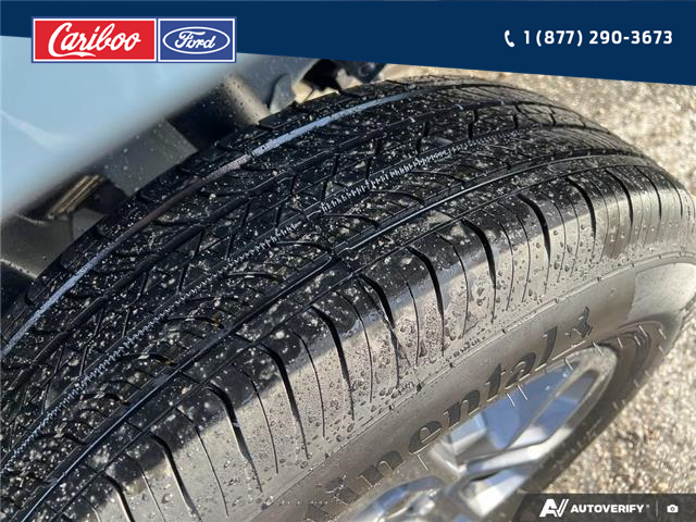 2025 Ford Maverick XLT (Stk: 25T079) in Quesnel - Image 7 of 25