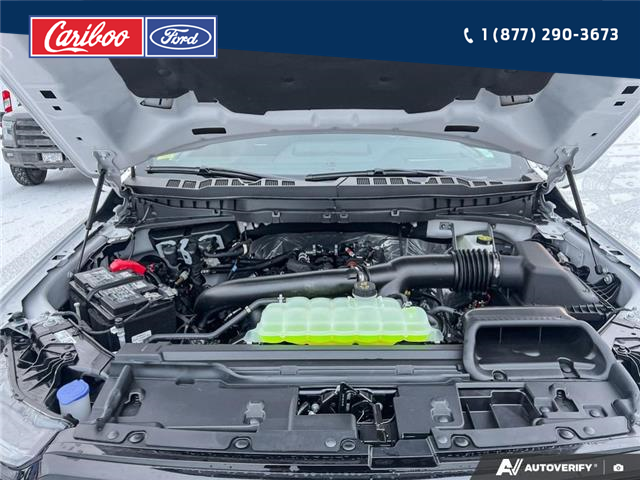 2025 Ford F-150 Platinum (Stk: 25T088) in Quesnel - Image 10 of 25