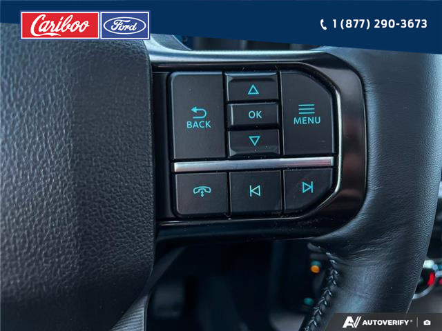 2025 Ford F-150 Platinum (Stk: 25T088) in Quesnel - Image 16 of 25