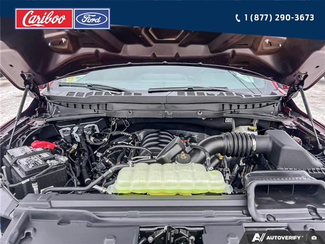 2025 Ford F-150 STX (Stk: 25T086) in Quesnel - Image 10 of 25