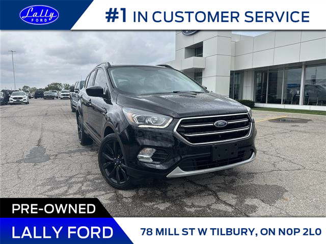 2019 Ford Escape SE (Stk: 29625A) in Tilbury - Image 1 of 21