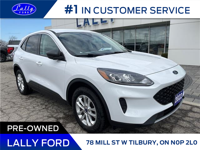 2022 Ford Escape SE (Stk: 18309) in Tilbury - Image 1 of 17