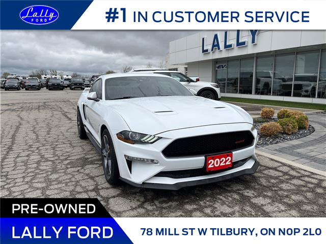 2022 Ford Mustang GT Premium (Stk: LFFF00361B) in Tilbury - Image 1 of 15