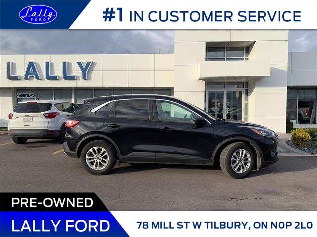 2022 Ford Escape SE (Stk: LFEP01225A) in Tilbury - Image 2 of 15