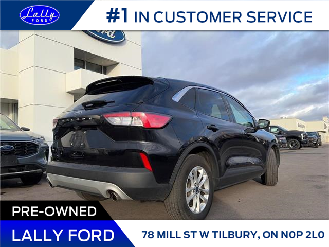 2022 Ford Escape SE (Stk: LFEP01225A) in Tilbury - Image 3 of 15
