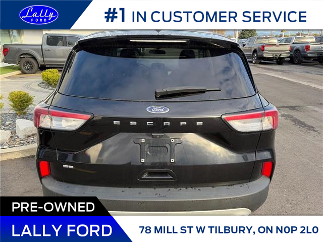 2022 Ford Escape SE (Stk: LFEP01225A) in Tilbury - Image 4 of 15