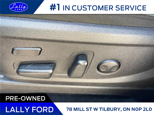 2020 Kia Telluride SX Limited (Stk: LFED01292A) in Tilbury - Image 8 of 15