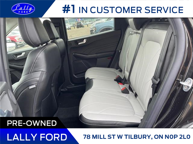2025 Ford Escape Platinum (Stk: LFEP00611) in Tilbury - Image 15 of 15