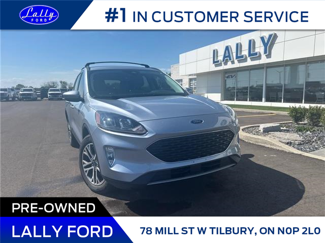 2022 Ford Escape SEL Hybrid (Stk: LFEP00989A) in Tilbury - Image 1 of 19