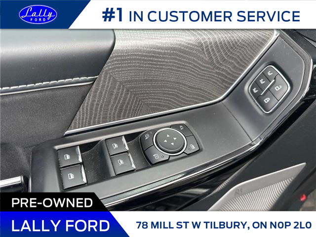 2022 Ford F-150 Lightning Platinum (Stk: LF00575R) in Tilbury - Image 14 of 20