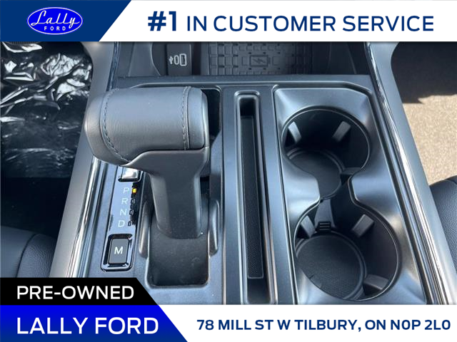 2025 Ford F-150 XLT (Stk: LFFF00980) in Tilbury - Image 14 of 15