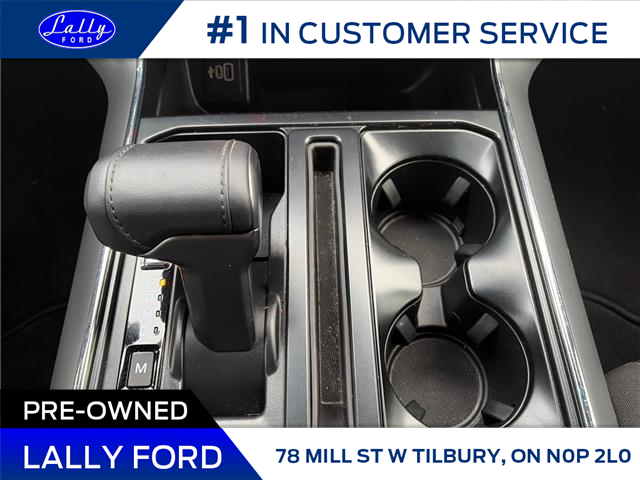 2025 Ford F-150 XLT (Stk: SPFF00370) in Tilbury - Image 14 of 15