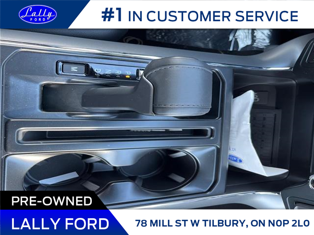 2025 Ford F-150 XLT (Stk: LFFF00563) in Tilbury - Image 17 of 18