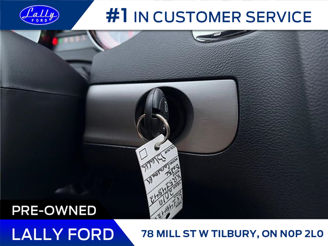 2019 Dodge Grand Caravan GT (Stk: LF14842P) in Tilbury - Image 12 of 15