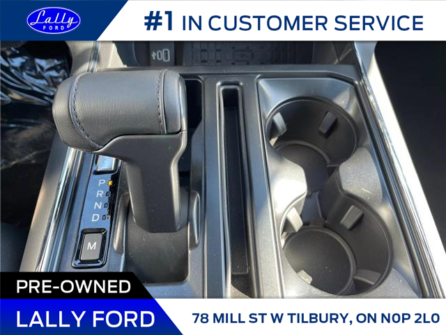 2025 Ford F-150 XLT (Stk: LFFF01212) in Tilbury - Image 14 of 15