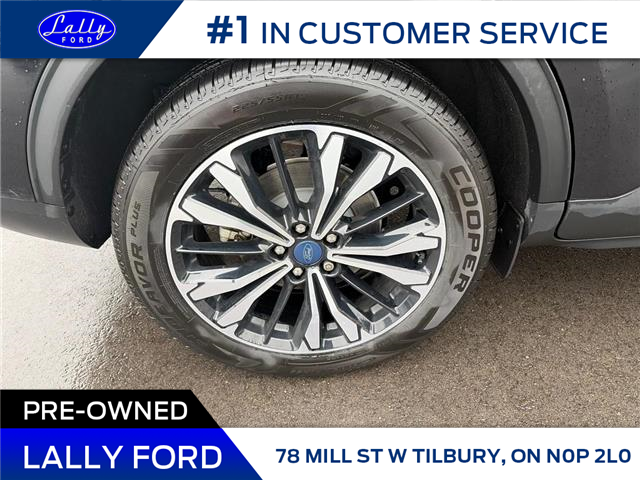 2022 Ford Escape SE (Stk: LFEP01277A) in Tilbury - Image 6 of 17