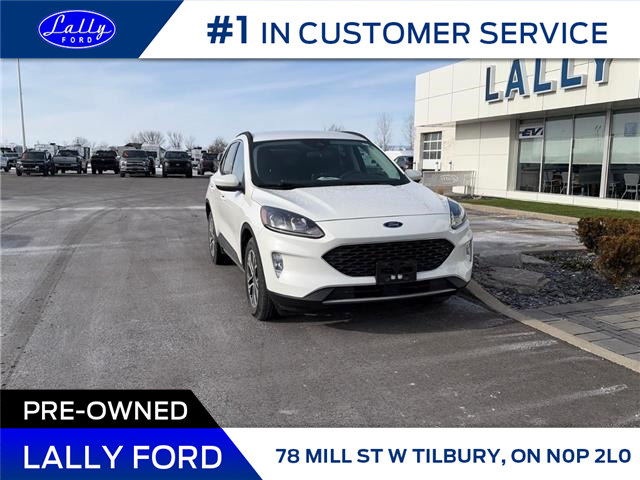 2021 Ford Escape SEL Hybrid (Stk: LFEP01480A) in Tilbury - Image 1 of 14