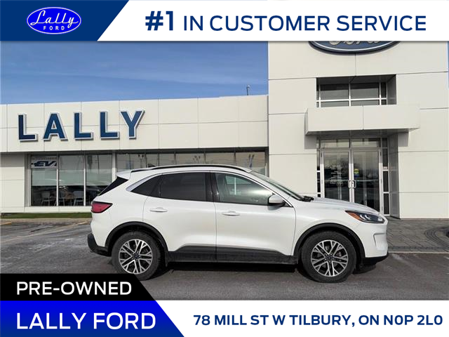 2021 Ford Escape SEL Hybrid (Stk: LFEP01480A) in Tilbury - Image 2 of 14