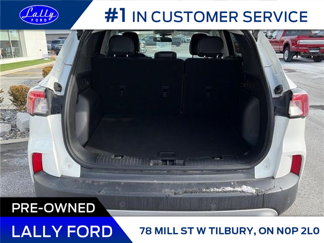 2021 Ford Escape SEL Hybrid (Stk: LFEP01480A) in Tilbury - Image 5 of 14