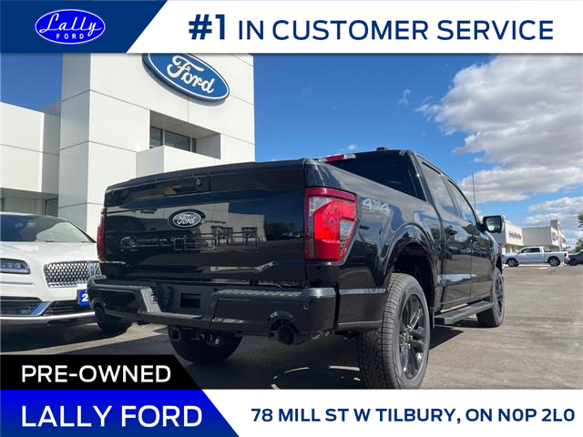 2025 Ford F-150 XLT (Stk: LFFF01263) in Tilbury - Image 3 of 15