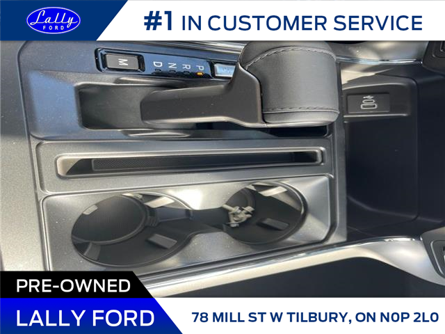 2025 Ford F-150 XLT (Stk: LFFF01263) in Tilbury - Image 14 of 15