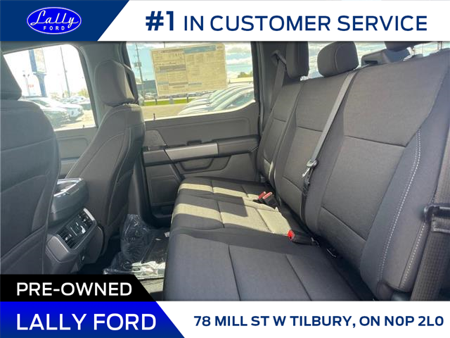 2025 Ford F-150 XLT (Stk: LFFF01263) in Tilbury - Image 15 of 15