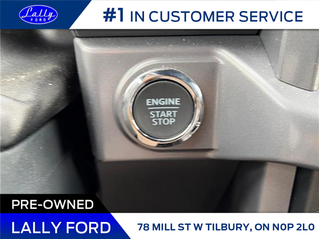 2025 Ford F-150 XLT (Stk: LFFF00900) in Tilbury - Image 12 of 15