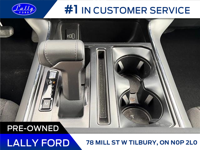 2025 Ford F-150 XLT (Stk: LFFF00900) in Tilbury - Image 14 of 15